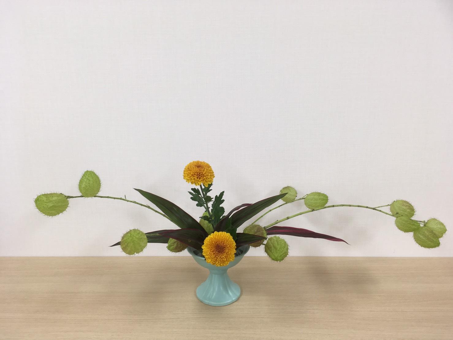 いけばな全書 小学館 全8巻 池坊2 古流2 龍生派 未生流 草月流 小原流 いけばな全書 小学館 全8巻 池坊2 古流2 龍生派 未生流 草月流 小原流